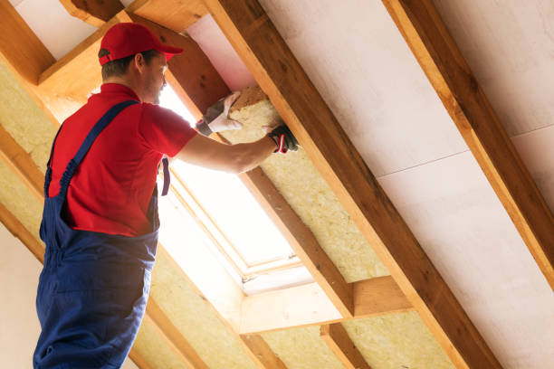 Best Spray Foam Insulation  in USA